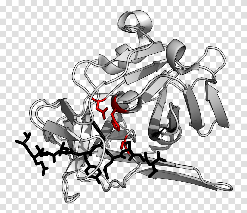 Protease, Drawing, Vehicle, Transportation Transparent Png