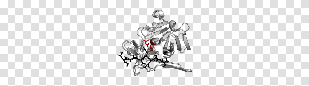 Protease, Motorcycle, Vehicle, Transportation, Spoke Transparent Png