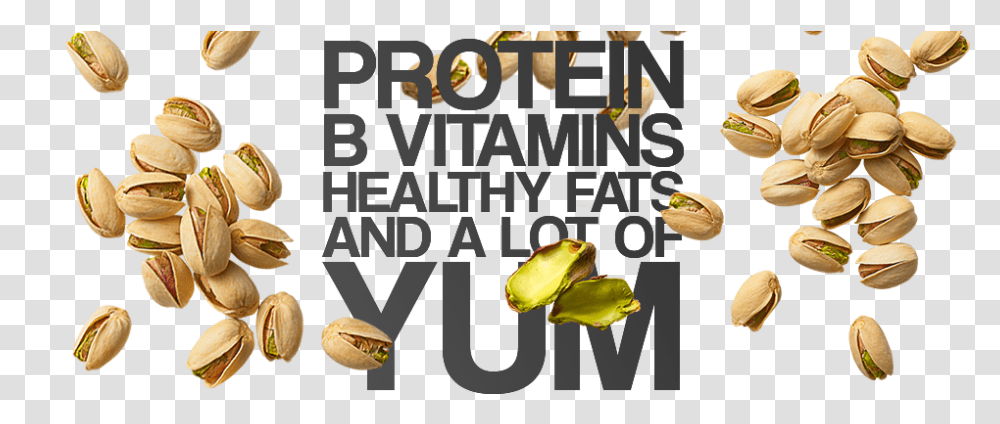 Protein B Vitamins Healthy Fats And A Lot Of Tum Pistachio, Plant, Flower, Food, Produce Transparent Png
