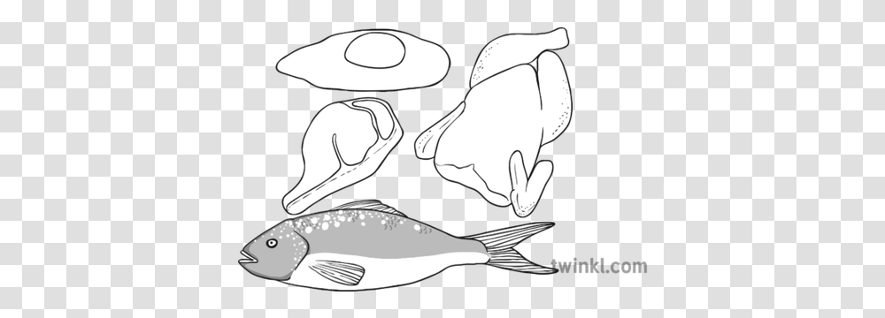 Protein Black And White 1 Illustration Twinkl Fish, Animal, Sea Life, Sunglasses, Accessories Transparent Png