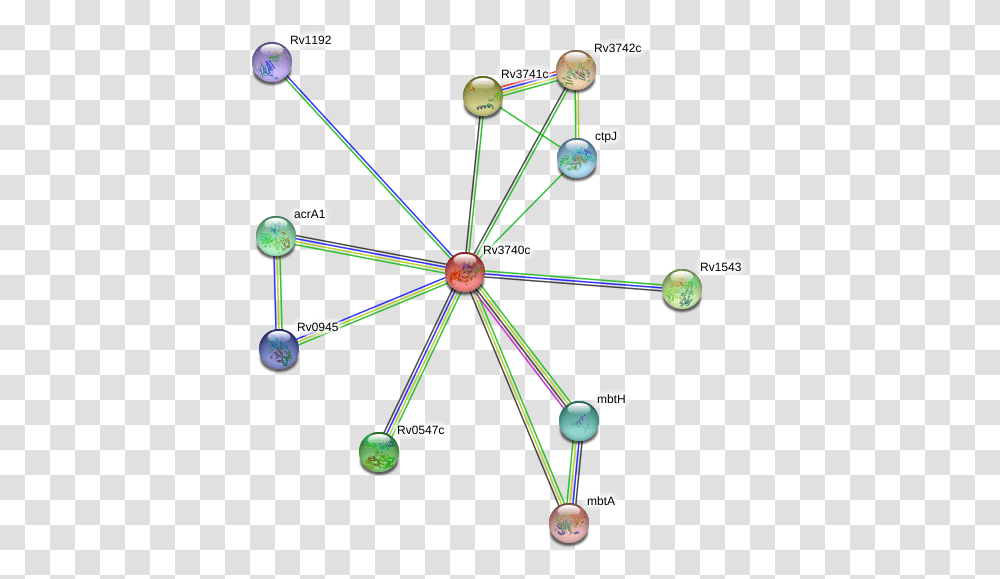 Protein, Bow, Network, Diagram, Building Transparent Png