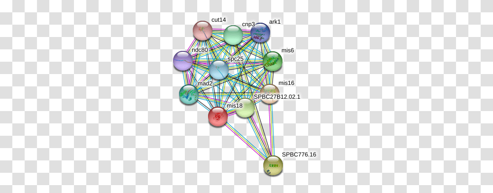 Protein Circle, Balloon, Network, Outer Space, Astronomy Transparent Png