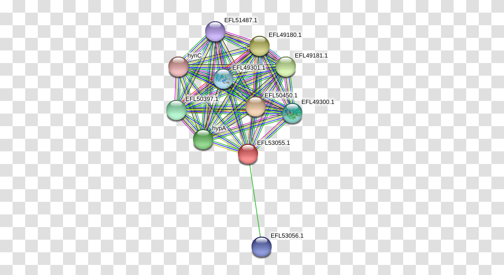 Protein Circle, Network, Balloon, Electronics Transparent Png