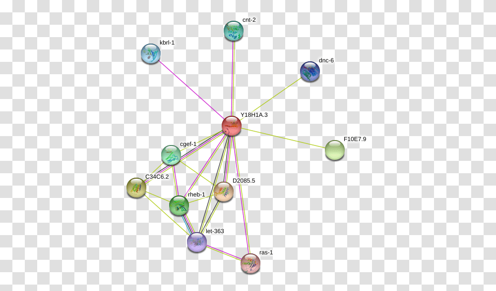 Protein Circle, Network, Bow, Diagram, Astronomy Transparent Png