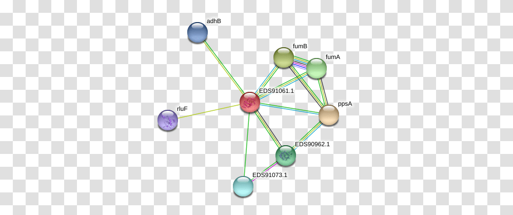 Protein Circle, Network, Diagram, Outer Space, Astronomy Transparent Png