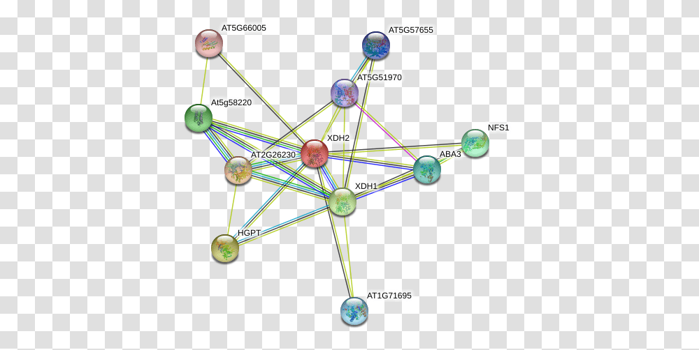 Protein Circle, Network, Diagram, Sphere, Outer Space Transparent Png