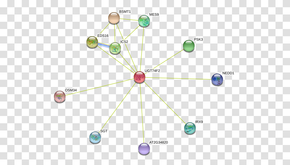 Protein Circle, Network, Diagram, Utility Pole, Building Transparent Png