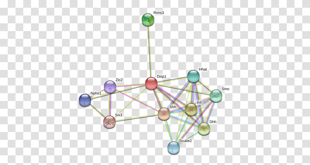 Protein Circle, Network Transparent Png