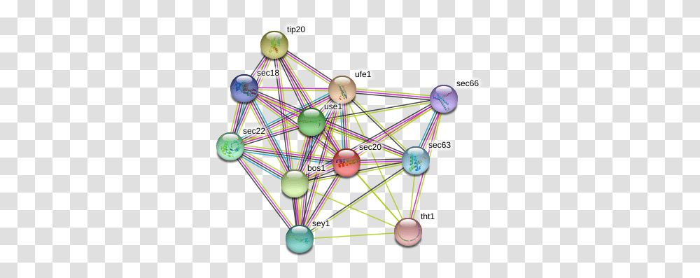 Protein Circle, Sphere, Network, Balloon Transparent Png