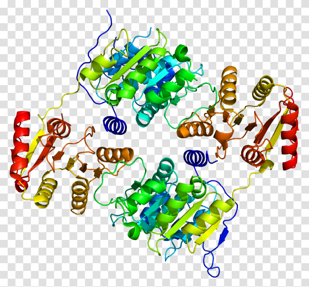 Protein Ddx19b Pdb 3ews Protein Data Bank, Light, Neon Transparent Png