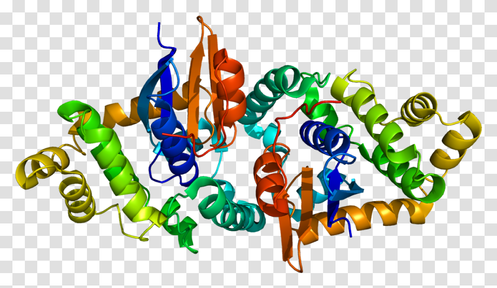 Protein Gstk1 Pdb, Pattern, Fractal Transparent Png