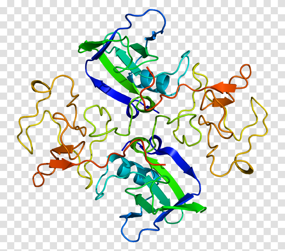 Protein Hgf Pdb 1bht Hepatocyte Growth Factor Structure, Neon, Light Transparent Png