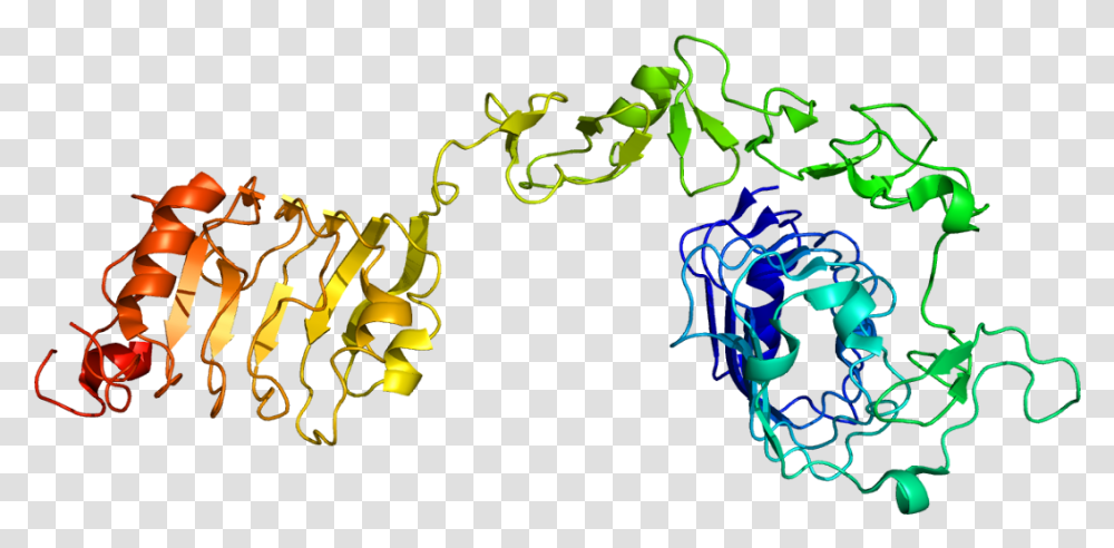 Protein Igf1r Pdb 1igr Insulin Like Growth Factor 1 Receptor, Light, Neon Transparent Png