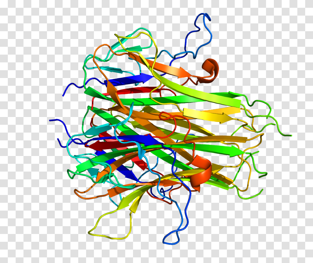 Protein Pdb, Neon, Light Transparent Png