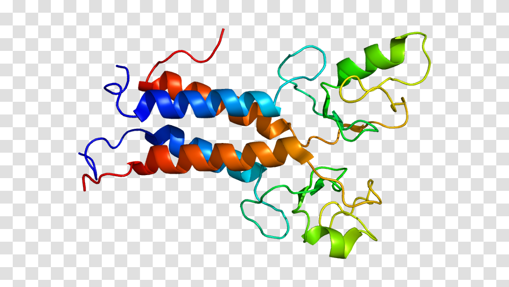 Protein Post Translational Modification Analysis Tebu Bios Blog, Light, Neon Transparent Png