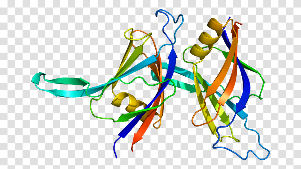 Protein Prkcd Pdb 1bdy Protein Kinase C Delta Structure, Neon, Light Transparent Png