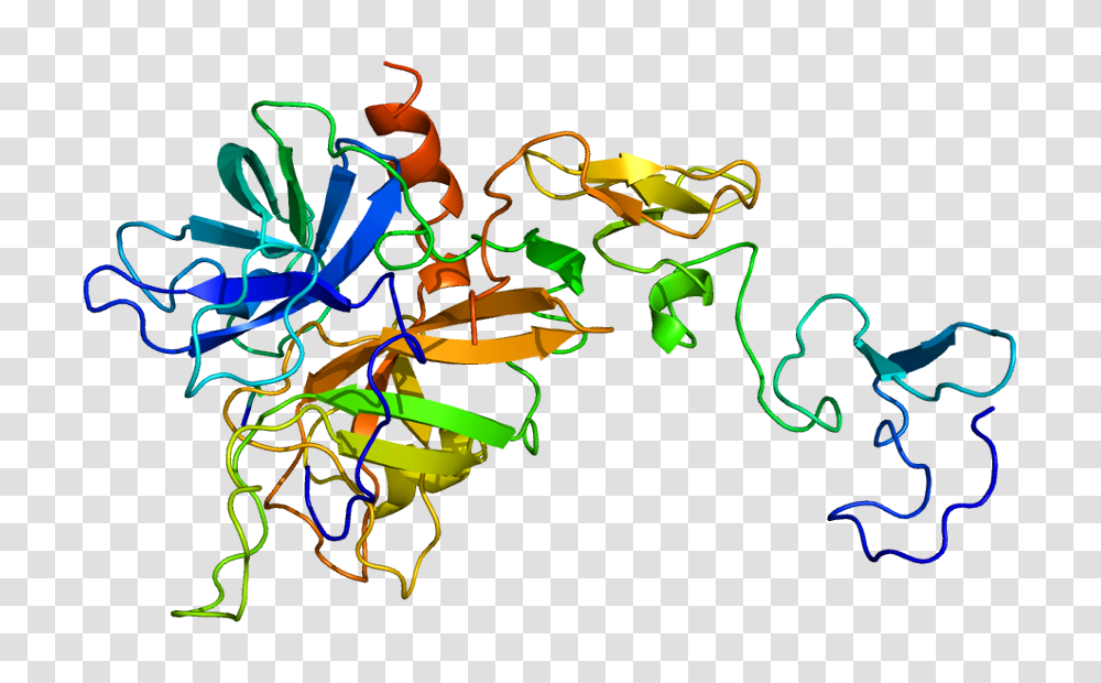 Protein Proc Pdb, Neon, Light, Lighting Transparent Png
