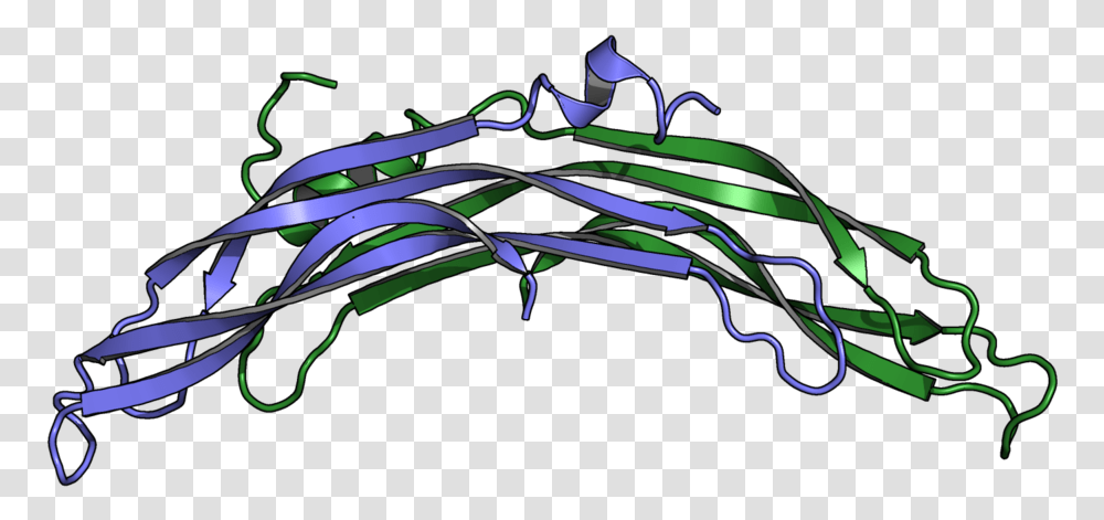 Protein Related To Dan And Cerberus, Floral Design, Pattern Transparent Png
