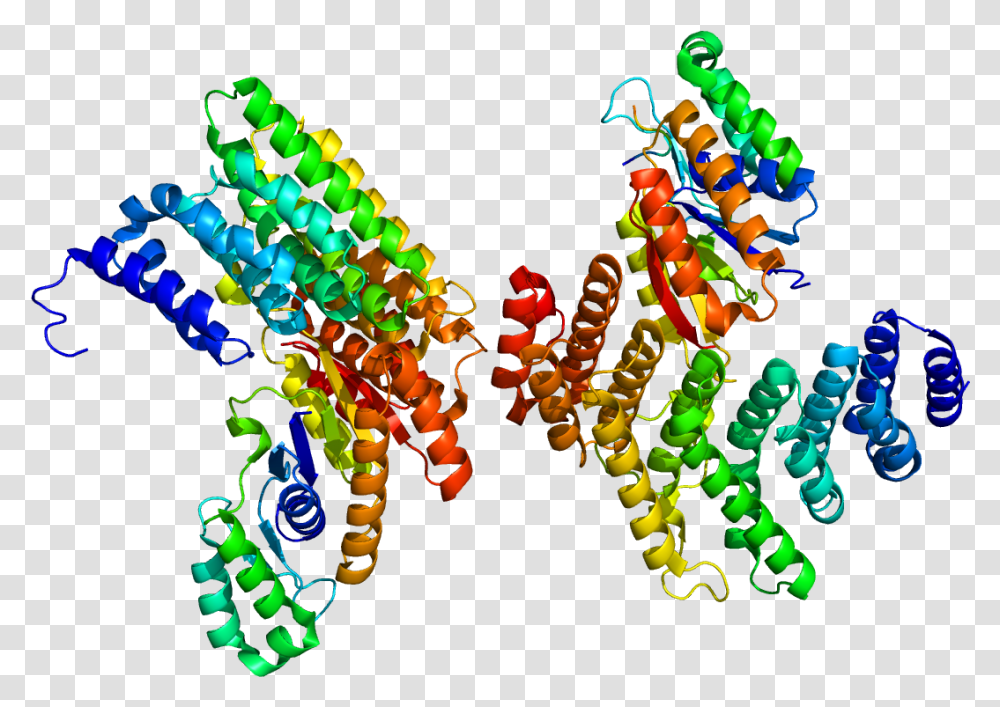 Protein Sympk Pdb 3o2q Proteins, Ornament, Pattern, Fractal, Graphics Transparent Png