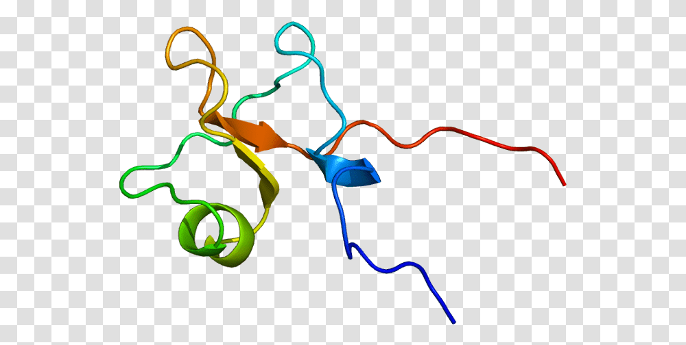 Protein Tff3 Pdb 1e9t Trefoil Factor Family Tff Peptides, Tennis Ball, Neon, Light, Dynamite Transparent Png
