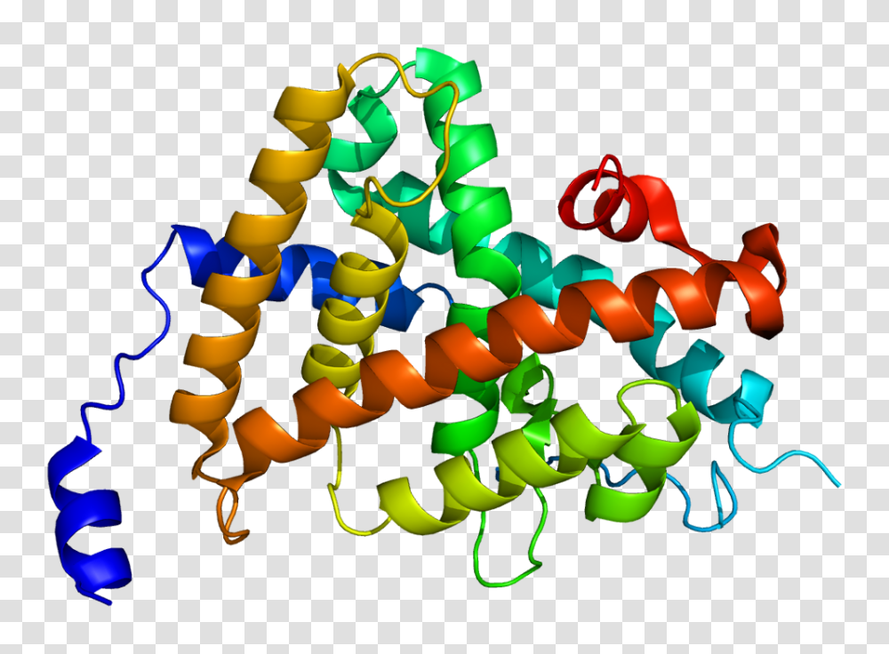 Protein Thra Pdb, Tree, Plant Transparent Png