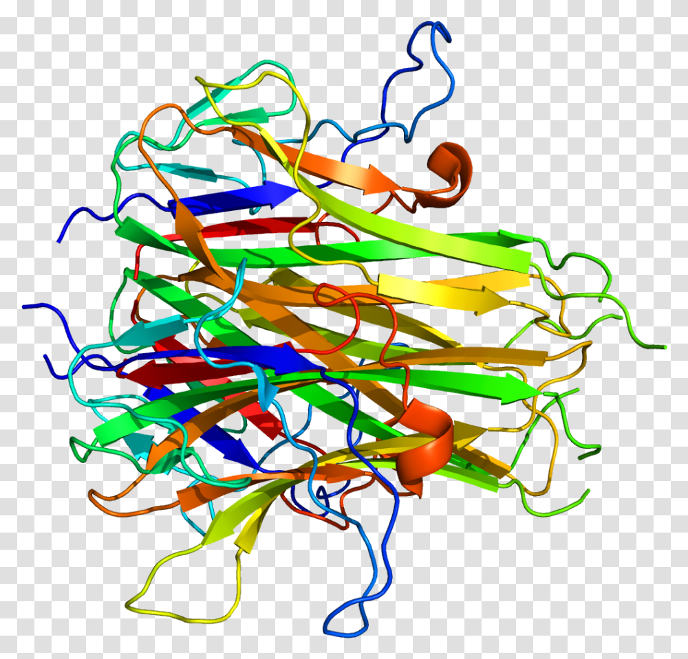 Protein Tnfsf15 Pdb 2o0o, Neon, Light, Dynamite, Bomb Transparent Png