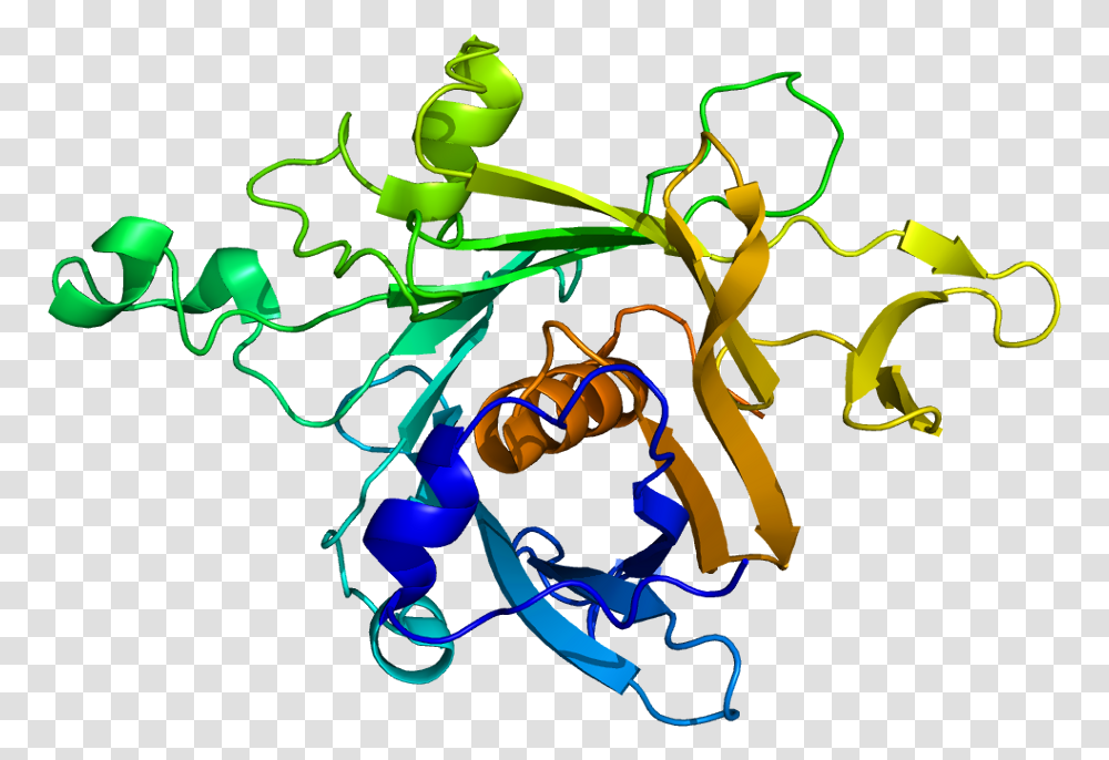 Protein Tub Pdb 1c8z Clip Art, Graphics, Light, Neon, Invertebrate Transparent Png