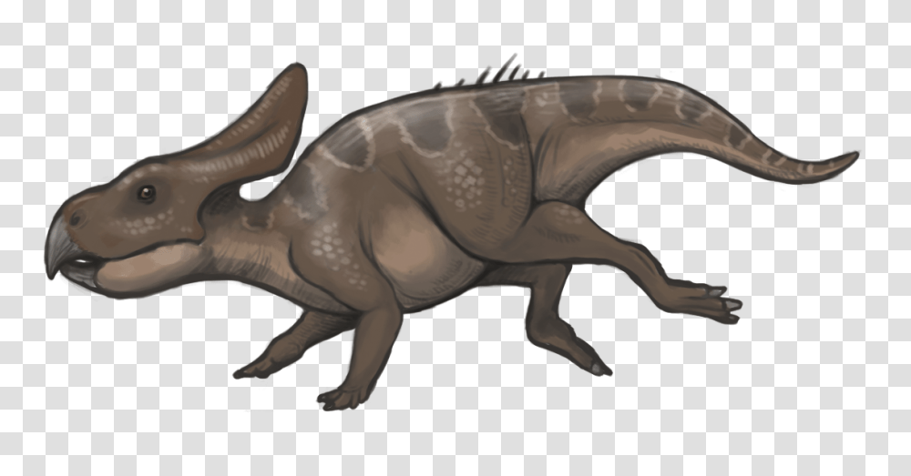 Protoceratops Reconstruction, Dinosaur, Reptile, Animal, T-Rex Transparent Png