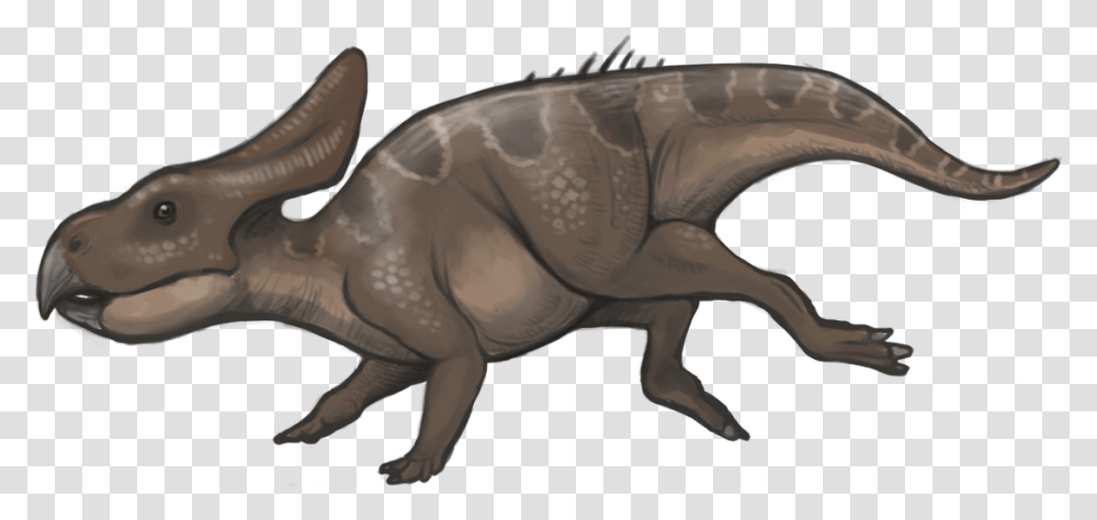 Protoceratops Reconstruction Protoceratops Facts For Kids, Animal, Dinosaur, Reptile, Mammal Transparent Png