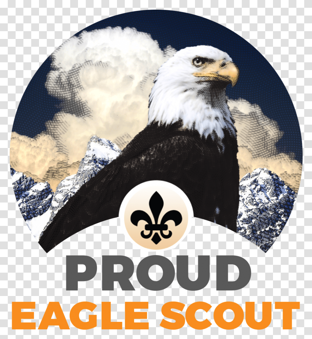 Proud Eagle Scout Short Sleeve T ShirtClass Safety Signage At Store, Bird, Animal, Bald Eagle, Poster Transparent Png