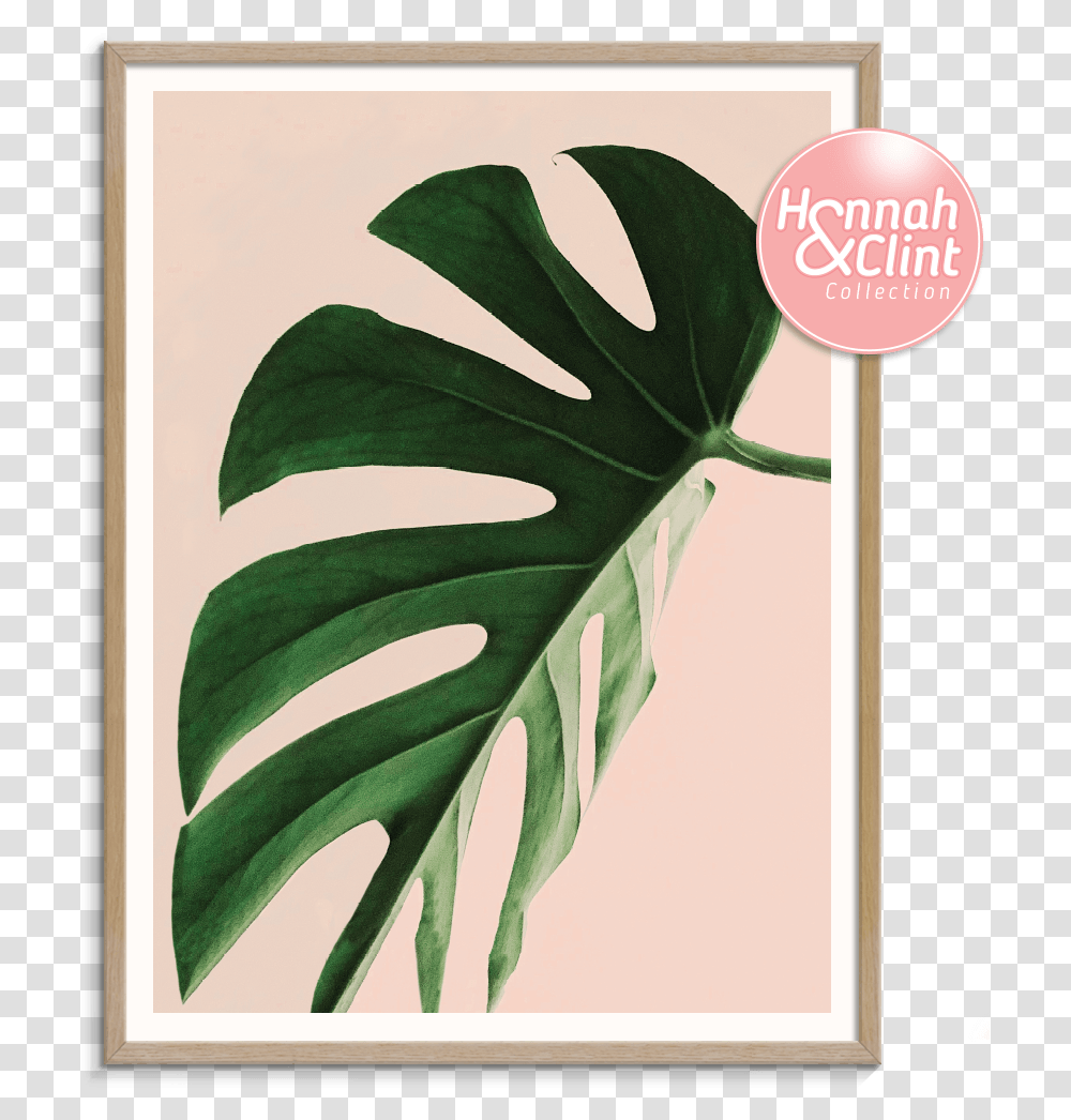 Proud Leaf Plakat Monstera, Plant, Green Transparent Png