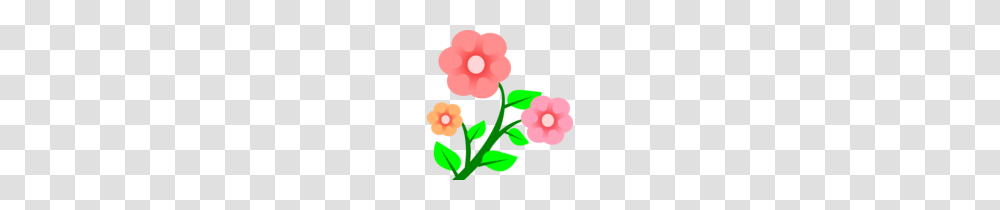 Proven Flower Cartoon Pictures Clip Art Three Forget Me Not, Plant, Blossom, Hibiscus, Petal Transparent Png