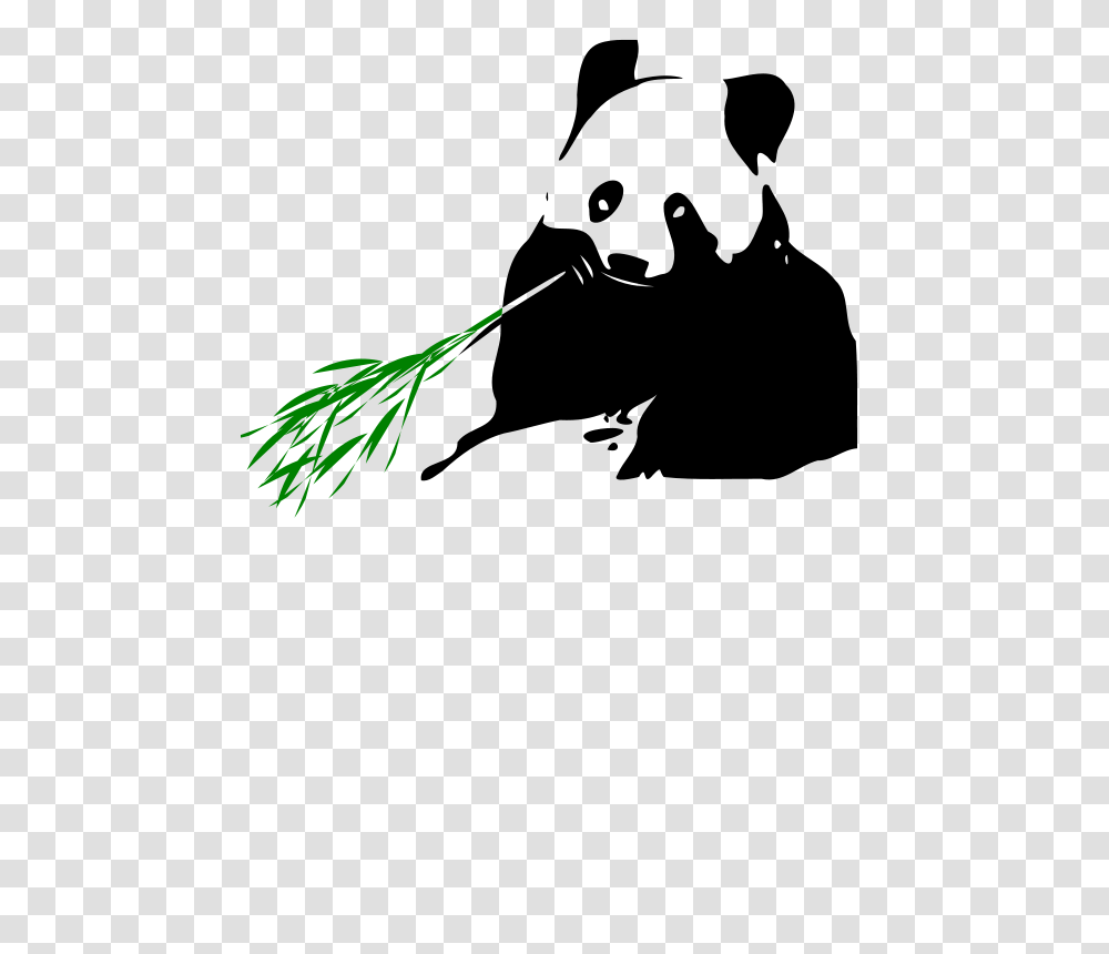 Przemyslaw Panda Bear, Nature, Green, Logo Transparent Png