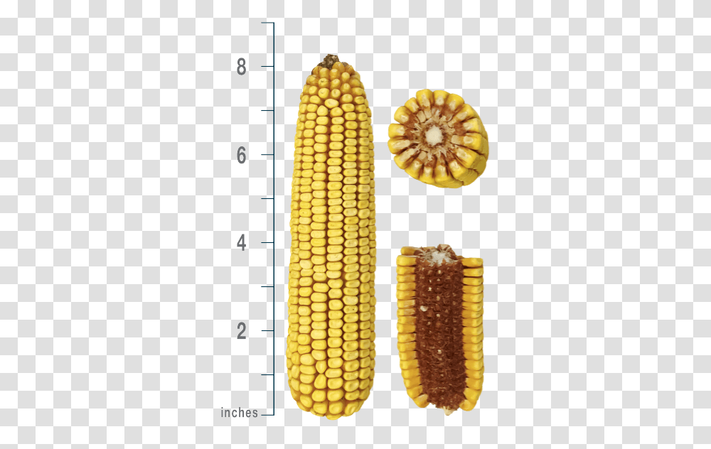 Ps 2790 Corn On The Cob, Plant, Vegetable, Food, Grain Transparent Png