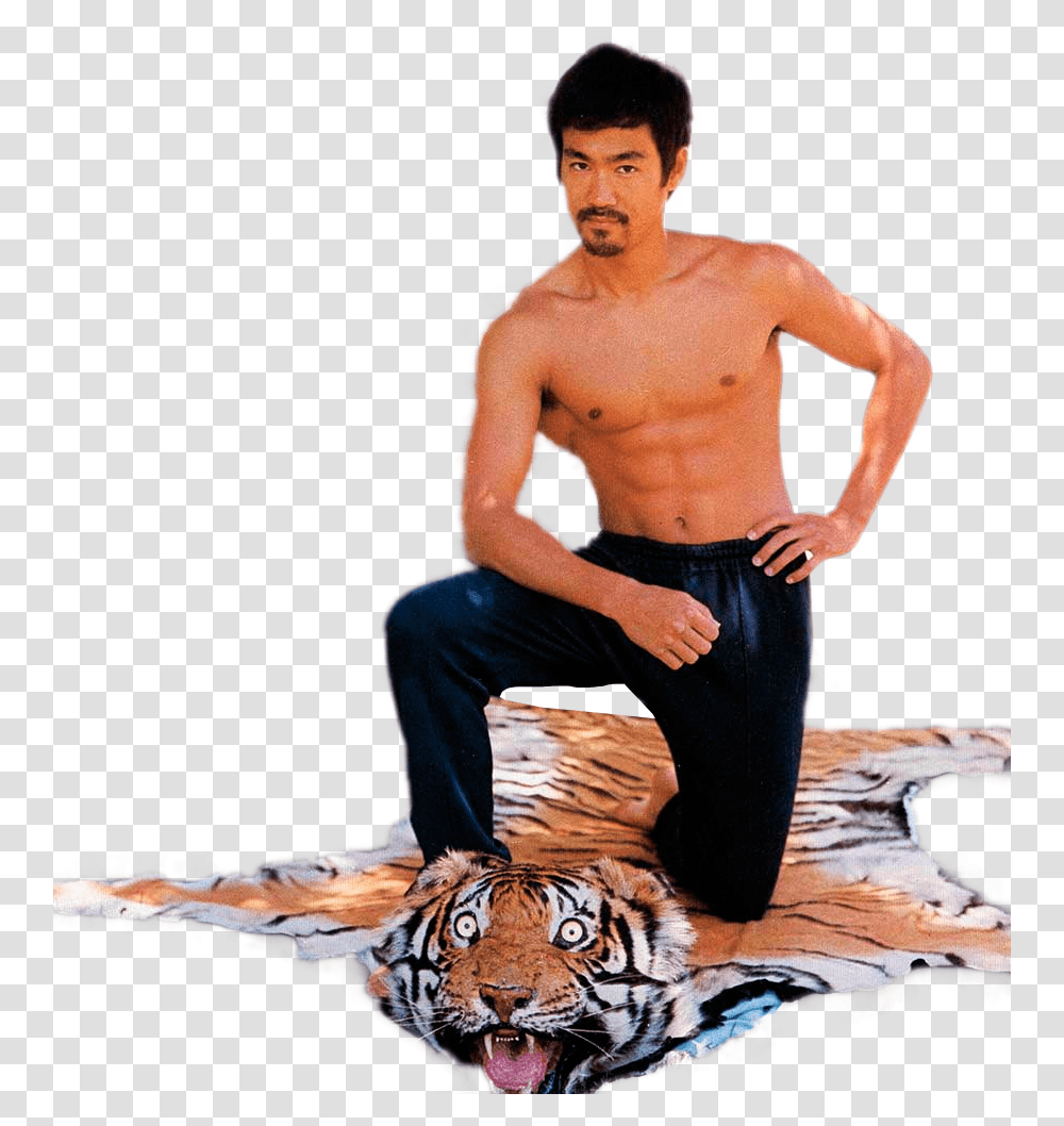 Psbattle Bruce Lee Taking A Knee On A Shocked Looking Tiger Skin, Person, Human, Wildlife, Mammal Transparent Png