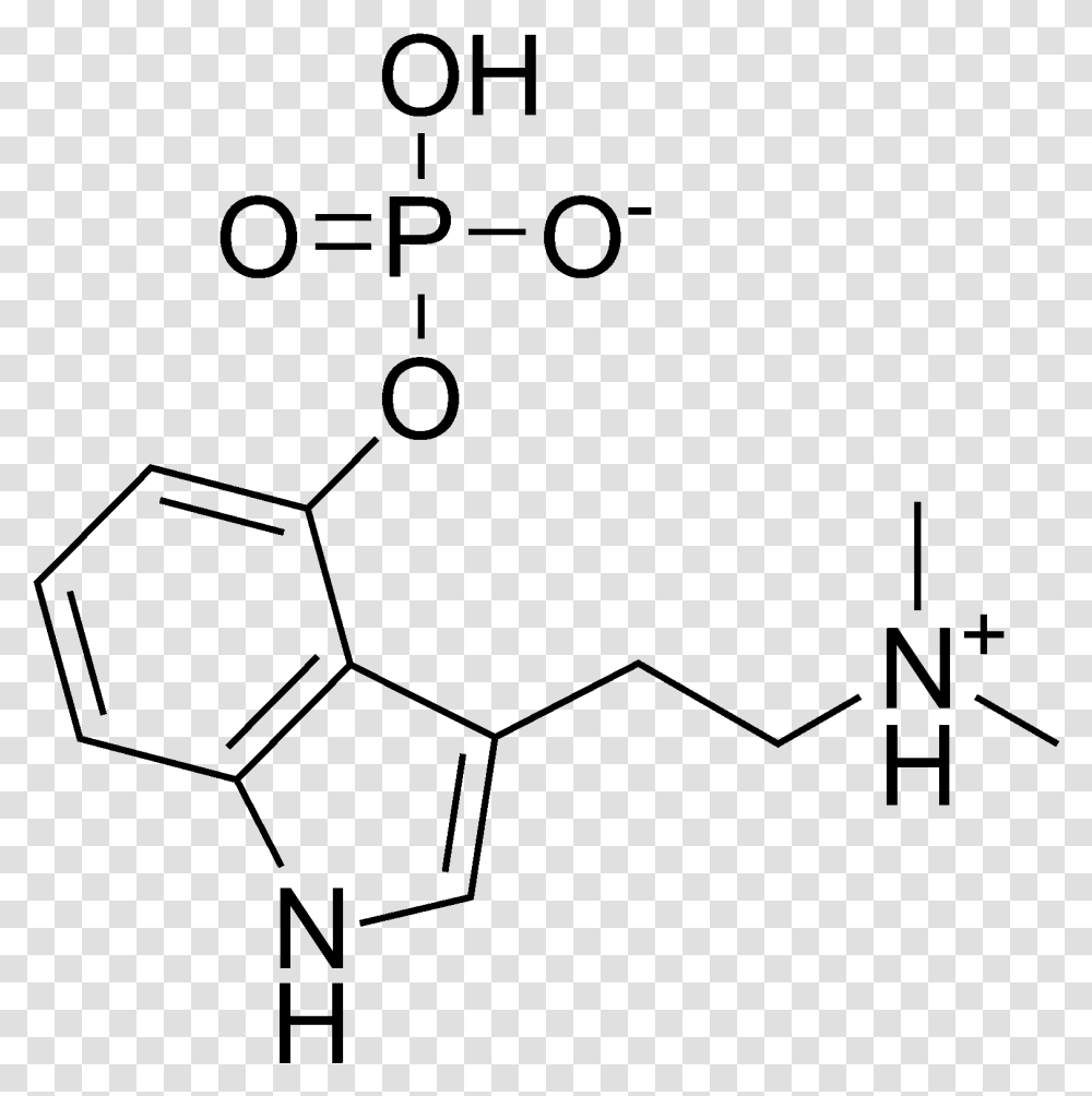 Psilocybin Chemical Structure 4 Aco Dmt Molecule, Gray, World Of Warcraft Transparent Png