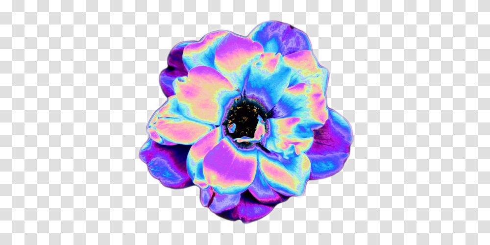 Psychedelic Flower Aesthetic Aestheticedit Vaporwave Aesthetic Flowers, Jewelry, Accessories, Rose, Plant Transparent Png