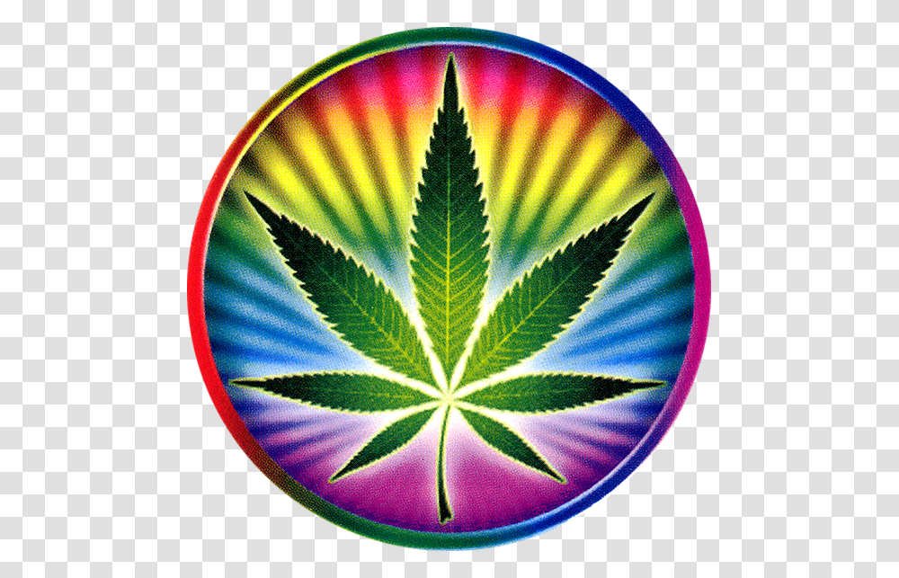 Psychedelic Pot Leaf, Logo, Trademark, Plant Transparent Png