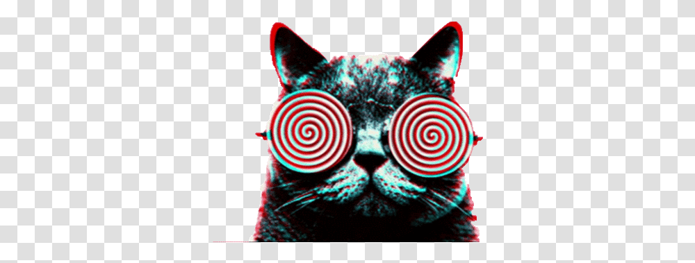 Psychedelic Trippy Cat Sticker Acid Cats Dmt Lsd Gif Lsd Gif, Head, Face, Person, Photography Transparent Png