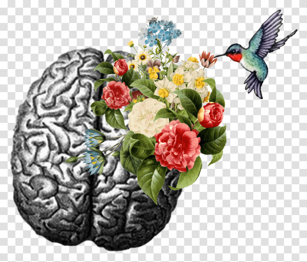 Psychology Sticker, Plant, Bird, Animal, Flower Transparent Png