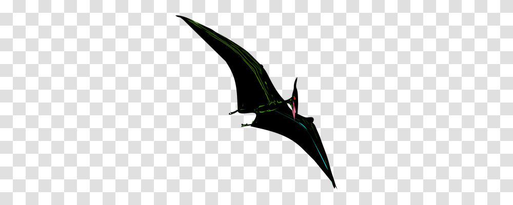 Pterodactyl Animals, Bow, Invertebrate, Insect Transparent Png