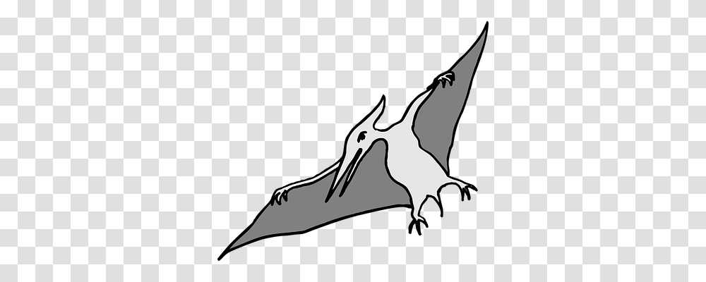 Pterodactyl Animals, Beak, Bird, Flying Transparent Png