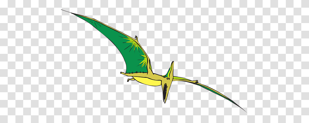 Pterodactyl Dragon Transparent Png