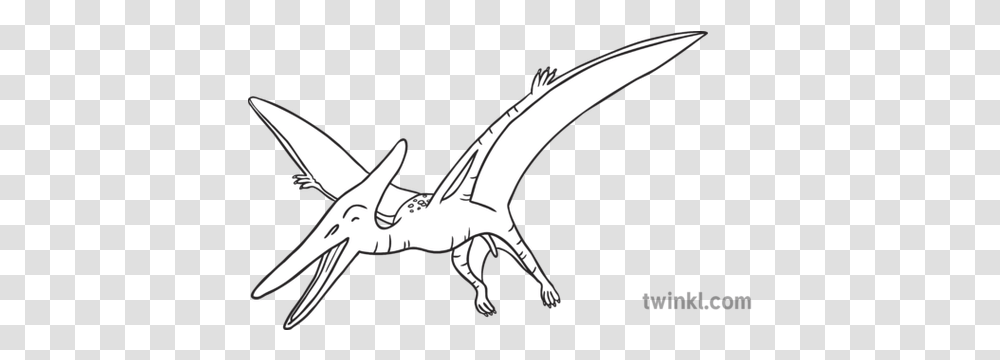 Pterodactyl Black And White 2 Pterodactyl Black And White, Dragon Transparent Png