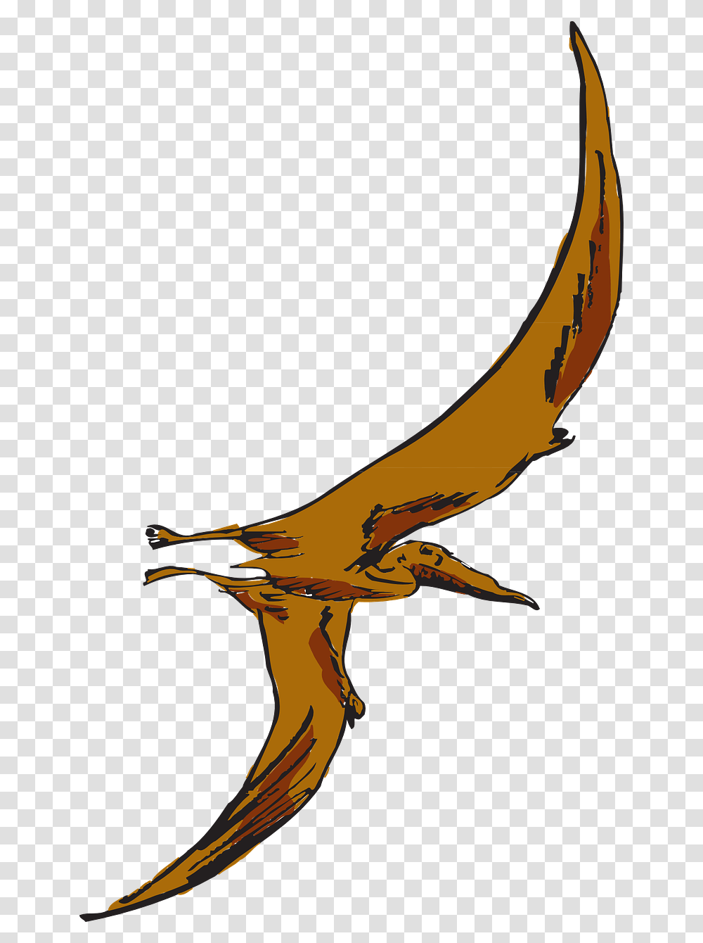 Pterodactyl Clipart Brown Pterodactyl, Animal, Bird, Mammal, Wildlife Transparent Png