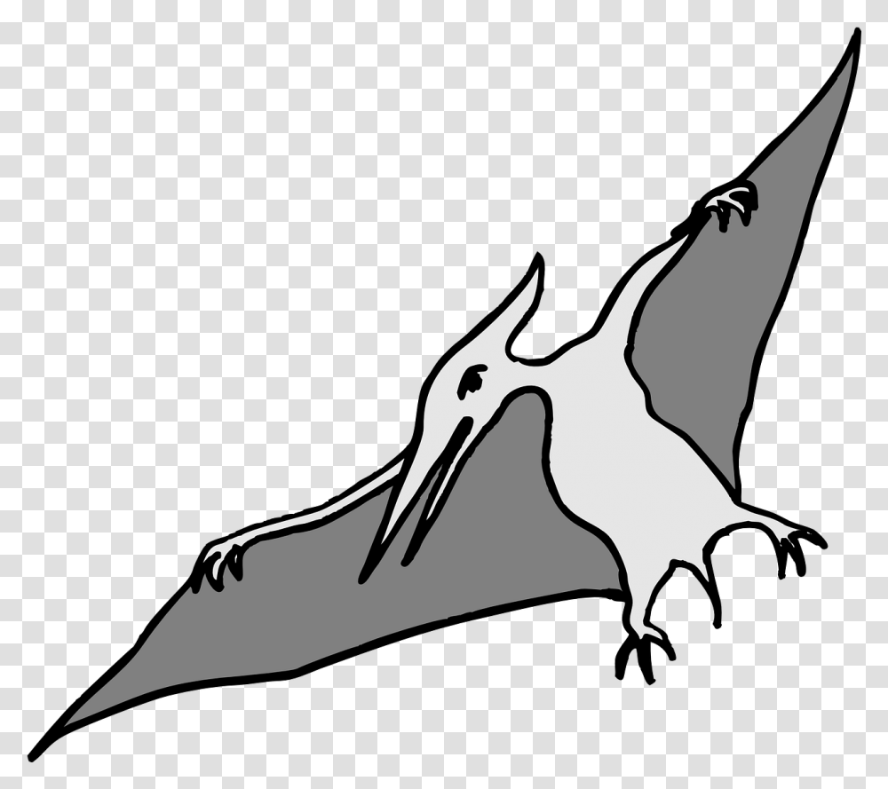 Pterodactyl Dinosaur Bird Pterodactyl Clip Art, Animal, Beak, Mammal, Wildlife Transparent Png
