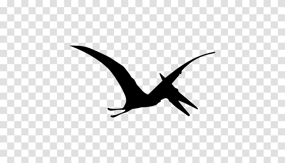 Pterodactyl Dinosaur Bird Shape, Flying, Animal, Silhouette, Flamingo Transparent Png