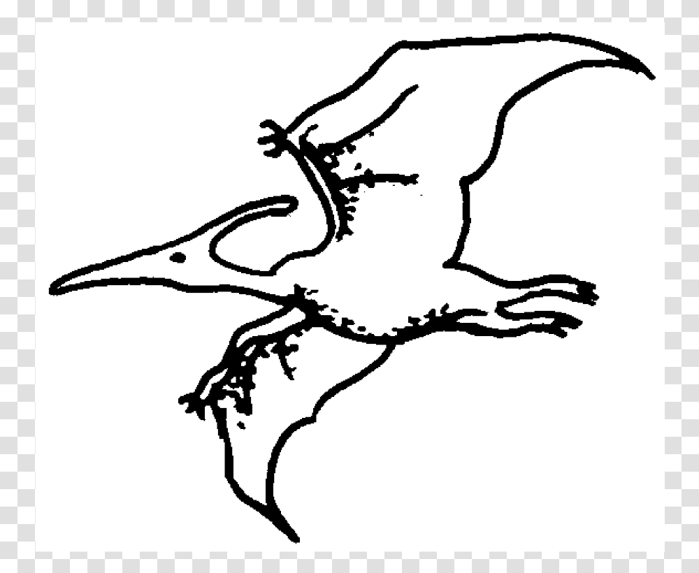 Pterodactyl Rubber StampTitle Pterodactyl Rubber Sketch, Animal, Stencil, Reptile, Wildlife Transparent Png