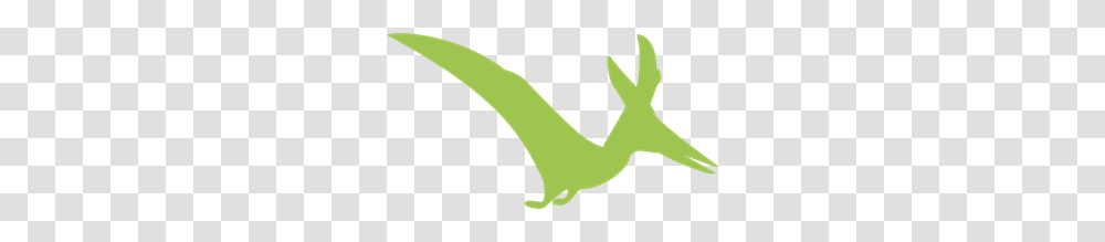 Pterodactyl Silhouette Clip Arts For Web, Animal, Reptile, Gecko, Lizard Transparent Png