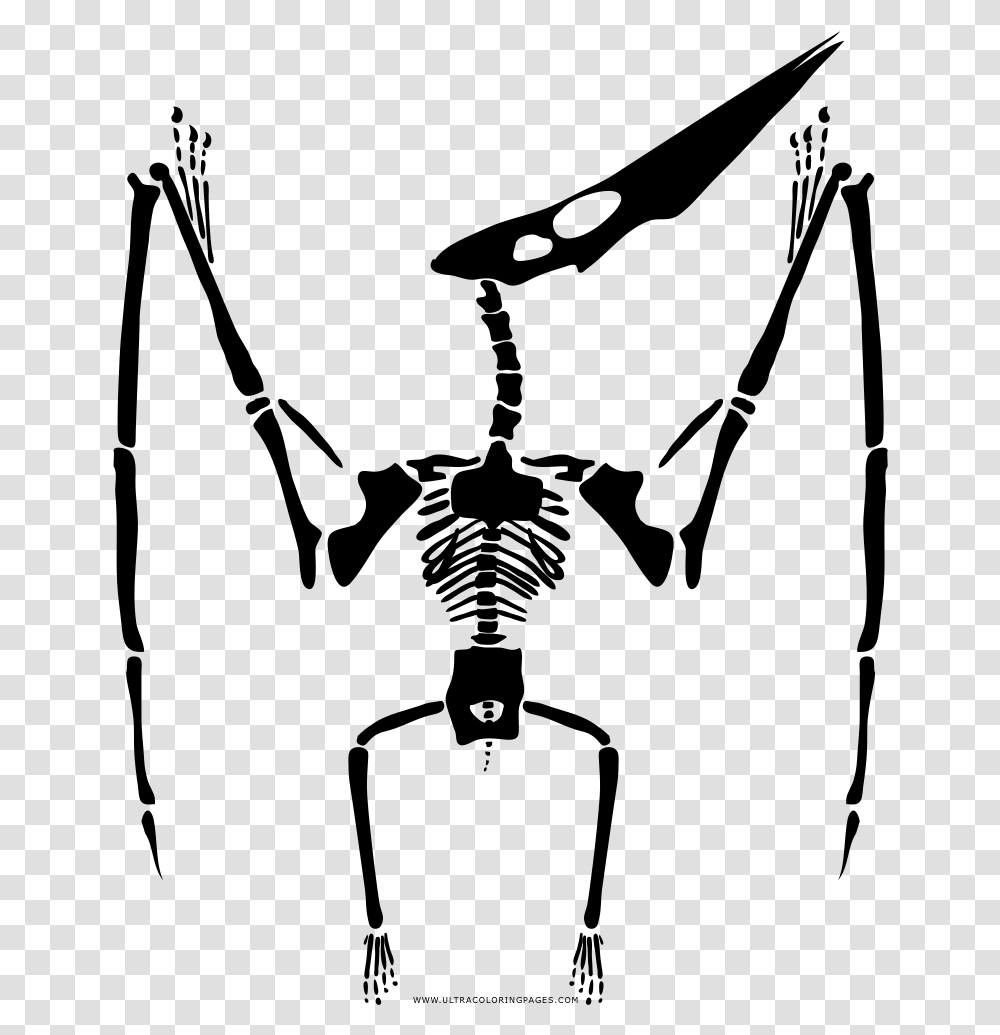 Pterodactyl Skeleton Coloring, Gray, World Of Warcraft Transparent Png